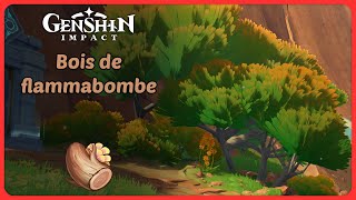 Bois de flammabombe  Route de farm  Genshin Impact [upl. by Yoko]