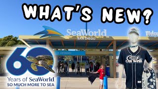 SEAWORLD UPDATE Whats New at SeaWorld San Diego  Wait Times Upcoming Events amp Construction [upl. by Repsihw]