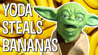 YODA STEALS BANANAS  The Puppet Yoda Show [upl. by Schmidt]