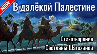 Новый стих В далёкой Палестине Автор Светлана Шатохина Очень трогательно Ищут все Рождество [upl. by Havard]