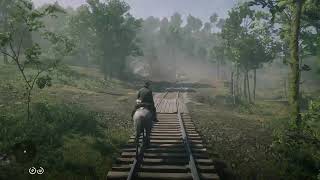 Red Dead Redemption 2 Ambience Searching for Moccasin Orchids Around Butcher Creek [upl. by Eneg]