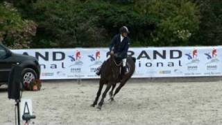 Nervoso jumping stallion SFA by Le Tot de Semilly [upl. by Melvyn649]