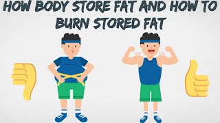 How Body Store Fat and How To Burn Stored Fat [upl. by Grantland780]