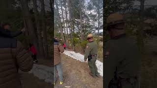 How Close is too Close to Grizzly Bears yellowstonenationalpark [upl. by Enael]