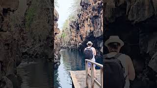 Galápagos 🇪🇨 paradise nature wildlife [upl. by Snashall]