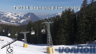 SaanenwaldHornberg [upl. by Grath]