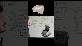 PCR in one minutePCR in shortbiology with Ehsanbiotechnology shorts science [upl. by Elocel82]