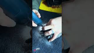 Pro Groomer Approved pets doglover doggroomingtips puppy doglife dogmom dogs dog dogvideos [upl. by Slaby]