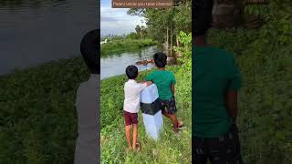 காளைமாடுகளை முதுகு தேய்ச்சு குளிப்பாட்டி விடும் மாமனிதன் bullock bullockrace bullockvideo river [upl. by Jerry232]