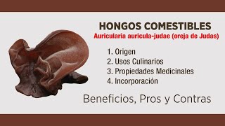 🍄 HONGOS  Auricularia Auriculajudae  Alimentación Saludable  AlimentacionS ​ [upl. by Althee]