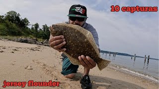 increible pesca new jersey flounder lenguado [upl. by Luiza450]