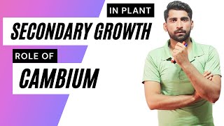 Secondary growth amp role of cambium in Plant UrduHindi by Mushtaq Saqib [upl. by Rubie224]