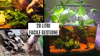 ALLESTIMENTO acquario BlackWater di facile gestione 💦 28 litri BLAU [upl. by Rosemonde]