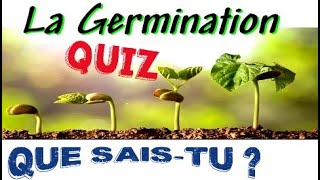 La GERMINATION des Graines  QUIZ  Graine de Haricot  Croissance des végétaux [upl. by Pulsifer]