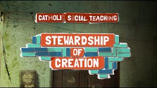 Catholic Social Teaching  Stewardship of creation [upl. by Garett891]