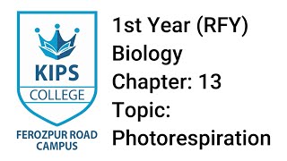 Photorespiration  1st Year Biology  Chapter No 13 [upl. by Anairad]