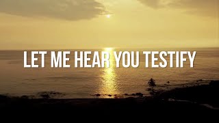 NEEDTOBREATHE  TESTIFY Lyric Video [upl. by Ariaj302]