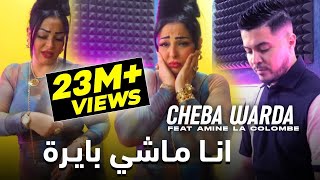 Cheba Warda ft Amine La Colombe  Ana Machi Bayra 2023 شابة وردة وامين الكولومب  انا ماشي بايرة [upl. by Armin]