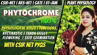 BSc 3rd Year 5th SemesterPhotomorphogenesis in HindiPhytochrome in HindiCryptochromephototropin [upl. by Fionna]