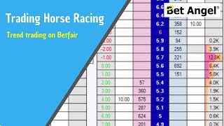 Trading on Betfair  Trend trading on Betfair racing markets [upl. by Gratiana340]