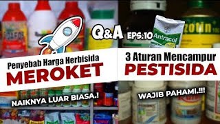 PENYEBAB HARGA HERBISIDA MEROKET amp 3 ATURAN MENCAMPUR PESTISIDA Insektisida Fungisida QampA EPS 10 [upl. by Errol]