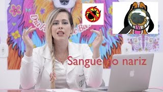 SANGUE PELO NARIZ DO SEU CÃO O QUE PODE SER  O QUE FAZER [upl. by Cheke]