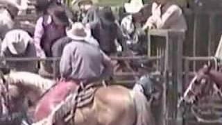 Rodeo Thugs Beat Horse at Cal Poly [upl. by Eustasius435]