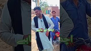 new tappey  mahiye Desi  program local  punjabi tappey mahiye desi program [upl. by Katzen]