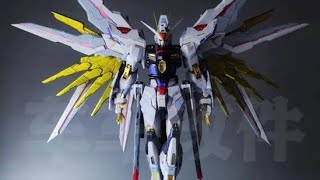 HOAYU MIGHTY STRIKE FREEDOM MG 1100 GARAGE KIT [upl. by Ande435]