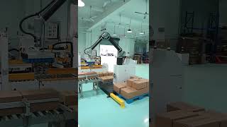 Folding and sealing machine palletizer factory real shot onsite real shot carton sealing [upl. by Biegel]