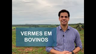 COMO COMBATER VERMES EM BOVINOS [upl. by Erminna]