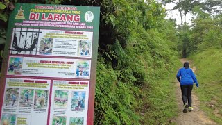 11 Oct 2024 Bukit Lagong Short Hike Part 1 of 3 hikinglife [upl. by Esiuqram739]