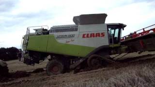 Claas Lexion 600 Terra Trac festgefahren extrem [upl. by Ylrebme481]