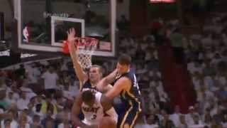 Tyler Hansbroughs Flagrant Foul on Dwyane Wade [upl. by Paz431]