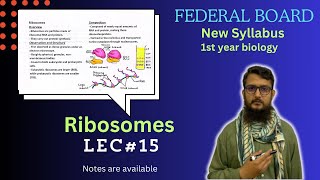 Ribosomes  Ribosomes structure and function  class 11 [upl. by Guthry339]