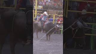 En el jaripeo el valor se monta y la gloria se gana a pulso JaripeoCorajeEnLaArena PasiónYGloria [upl. by Teilo745]