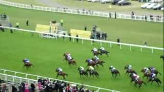 Horses Cavalli da corsa Ascot spettacolare corsa con 30 cavalli al galoppo sulle 2 miglia [upl. by Craven492]