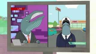 Neal McBeal the Navy SEAL [upl. by Goerke]