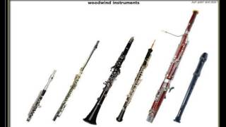 selezione di strumenti a fiato ottavino flauto clarinetto flauto oboe fagotto [upl. by Barra942]