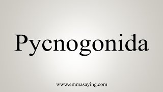 How To Say Pycnogonida [upl. by Marcille]