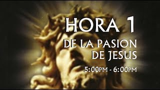 01 de 24 I Horas de la Pasión de Jesús Luisa Piccarreta Divina Voluntad [upl. by Bran]