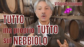 VitigniSanguigni OGGI VI RACCONTO TUTTO SUL NEBBIOLO [upl. by Ytsur]