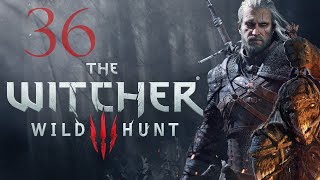 The Witcher 3 Wild Hunt  Historia  36 [upl. by Mack]