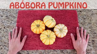 Abóbora Pumpkino [upl. by Okika]