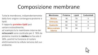 Composizione chimica membrane [upl. by Enelyar]