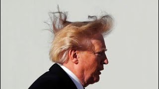 Trump’s Hair The REAL Presidential Campaign 💨🎩 [upl. by Nazus]