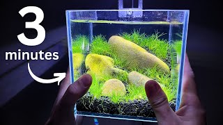 Nano shrimp tank in 3 minutes Step by step tutorial [upl. by Mattah368]