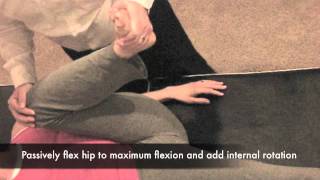 Maximum Flexion Internal Rotation Test CR [upl. by Breana]