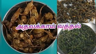 Athalakkai vatthal in tamil  Athalakkai recipe in tamil Namma Daily Notes [upl. by Knowles231]