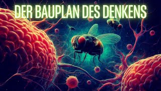 Der Bauplan des Denkens [upl. by Amadeo]